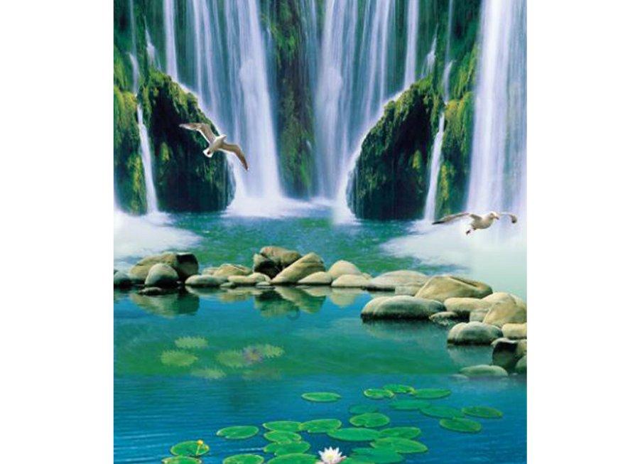 上海普陀公园多姿多彩